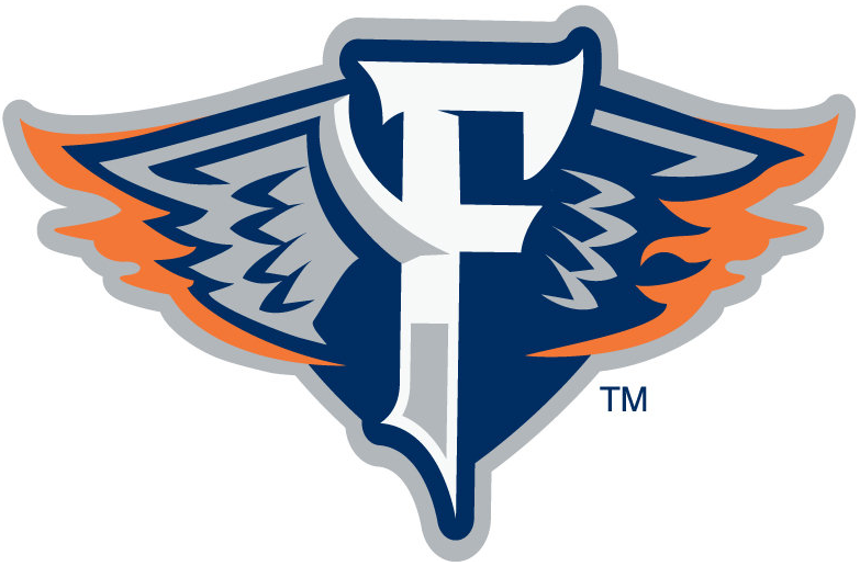 Flint Firebirds 2015-Pres Secondary Logo iron on heat transfer
